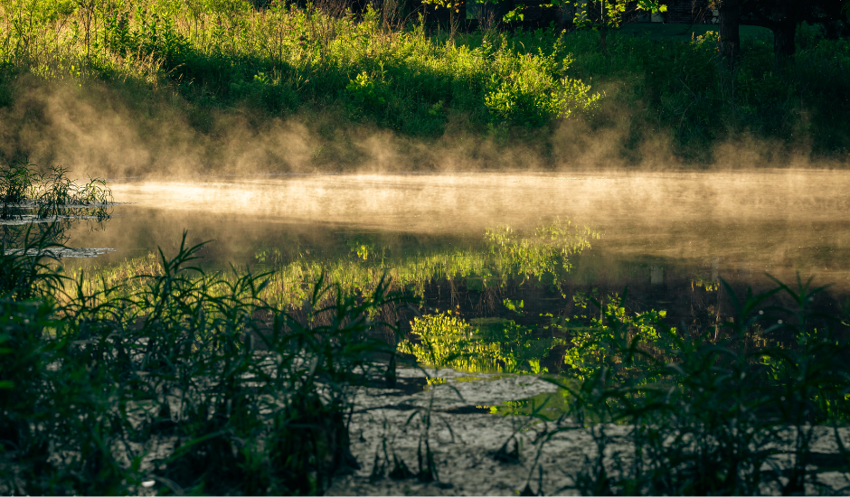 Morning Mist Candle