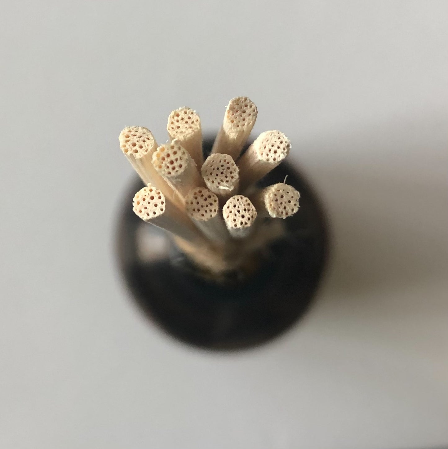 Autumn Woods Reed Diffuser