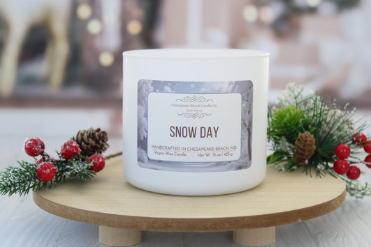 Snow Day 3-Wick Candle